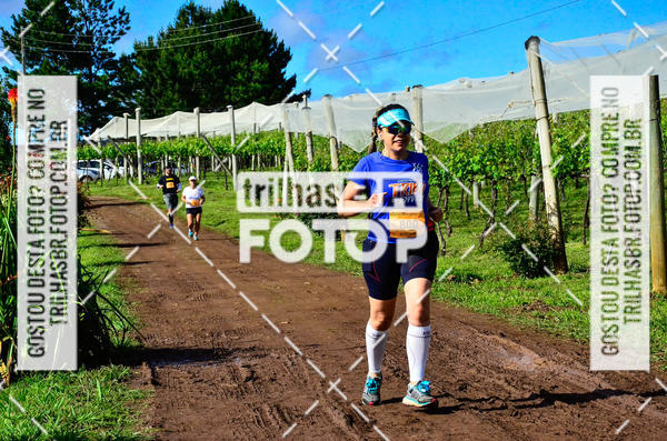 Buy your photos of the eventCIRCUITO DOS VINHEDOS - VINHOS DE ALTITUDE on Fotop