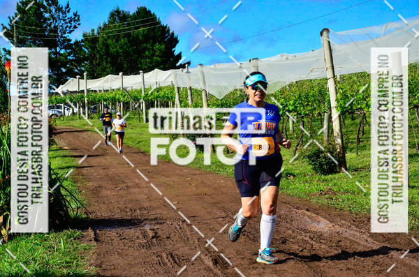 Buy your photos of the eventCIRCUITO DOS VINHEDOS - VINHOS DE ALTITUDE on Fotop