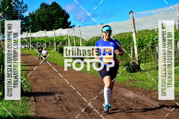 Buy your photos of the eventCIRCUITO DOS VINHEDOS - VINHOS DE ALTITUDE on Fotop