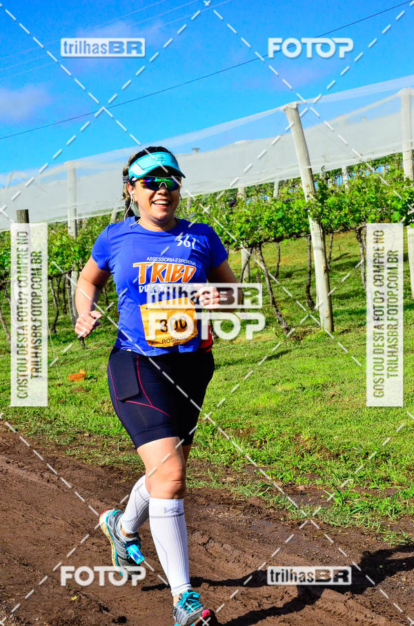 Buy your photos of the eventCIRCUITO DOS VINHEDOS - VINHOS DE ALTITUDE on Fotop