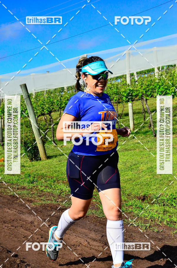 Buy your photos of the eventCIRCUITO DOS VINHEDOS - VINHOS DE ALTITUDE on Fotop
