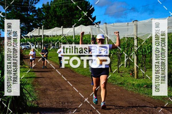 Buy your photos of the eventCIRCUITO DOS VINHEDOS - VINHOS DE ALTITUDE on Fotop