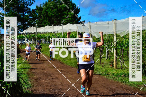 Buy your photos of the eventCIRCUITO DOS VINHEDOS - VINHOS DE ALTITUDE on Fotop