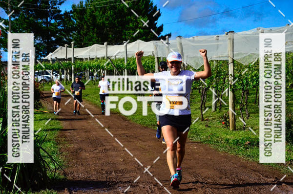Buy your photos of the eventCIRCUITO DOS VINHEDOS - VINHOS DE ALTITUDE on Fotop
