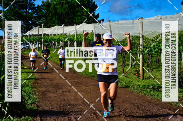 Buy your photos of the eventCIRCUITO DOS VINHEDOS - VINHOS DE ALTITUDE on Fotop
