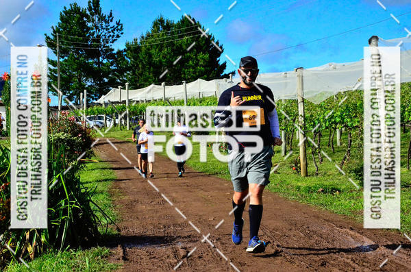 Buy your photos of the eventCIRCUITO DOS VINHEDOS - VINHOS DE ALTITUDE on Fotop