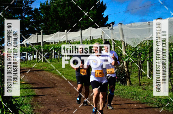 Buy your photos of the eventCIRCUITO DOS VINHEDOS - VINHOS DE ALTITUDE on Fotop