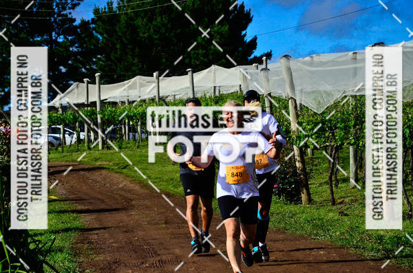 Buy your photos of the eventCIRCUITO DOS VINHEDOS - VINHOS DE ALTITUDE on Fotop