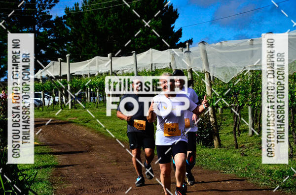 Buy your photos of the eventCIRCUITO DOS VINHEDOS - VINHOS DE ALTITUDE on Fotop