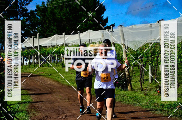 Buy your photos of the eventCIRCUITO DOS VINHEDOS - VINHOS DE ALTITUDE on Fotop