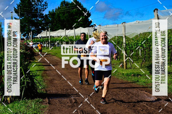 Buy your photos of the eventCIRCUITO DOS VINHEDOS - VINHOS DE ALTITUDE on Fotop