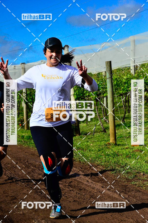 Buy your photos of the eventCIRCUITO DOS VINHEDOS - VINHOS DE ALTITUDE on Fotop