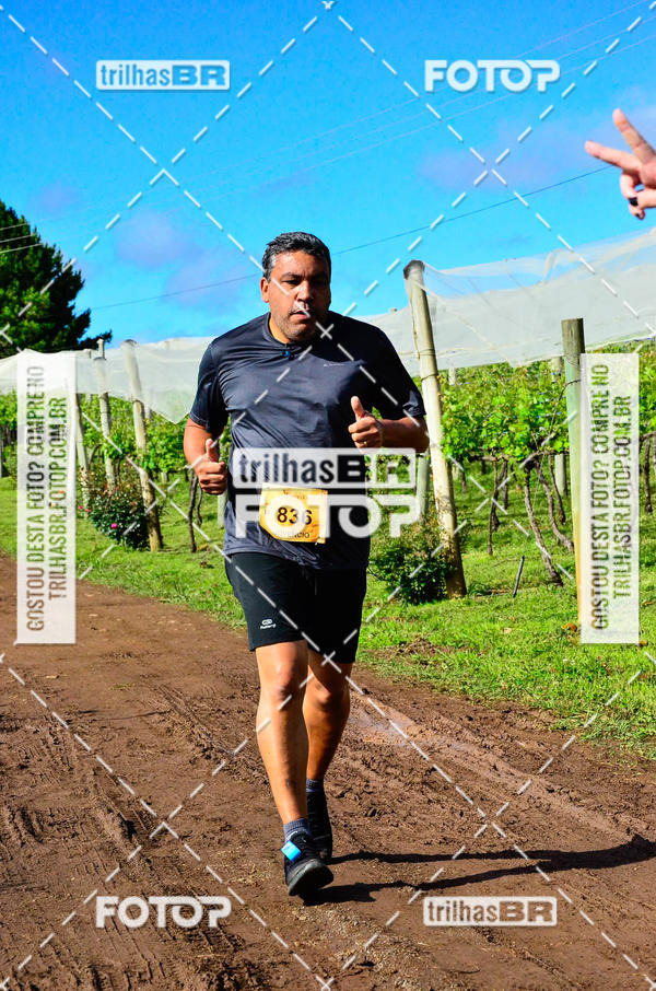 Buy your photos of the eventCIRCUITO DOS VINHEDOS - VINHOS DE ALTITUDE on Fotop