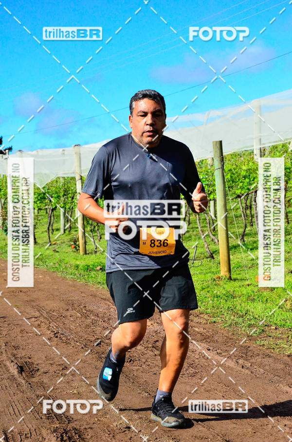Buy your photos of the eventCIRCUITO DOS VINHEDOS - VINHOS DE ALTITUDE on Fotop