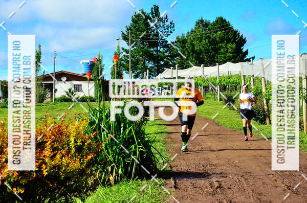 Buy your photos of the eventCIRCUITO DOS VINHEDOS - VINHOS DE ALTITUDE on Fotop
