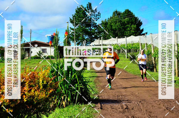 Buy your photos of the eventCIRCUITO DOS VINHEDOS - VINHOS DE ALTITUDE on Fotop