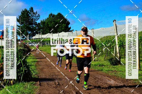 Buy your photos of the eventCIRCUITO DOS VINHEDOS - VINHOS DE ALTITUDE on Fotop