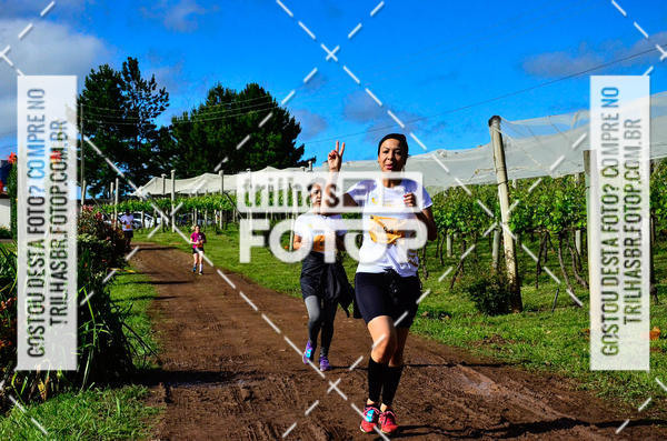 Buy your photos of the eventCIRCUITO DOS VINHEDOS - VINHOS DE ALTITUDE on Fotop