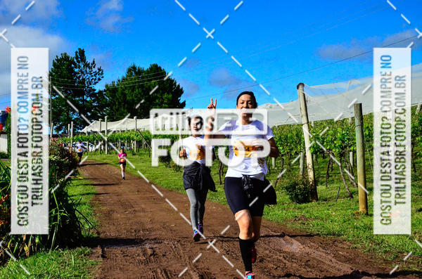 Buy your photos of the eventCIRCUITO DOS VINHEDOS - VINHOS DE ALTITUDE on Fotop