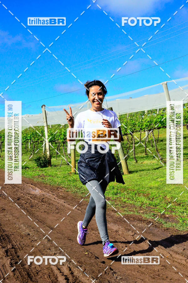 Buy your photos of the eventCIRCUITO DOS VINHEDOS - VINHOS DE ALTITUDE on Fotop