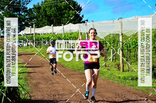 Buy your photos of the eventCIRCUITO DOS VINHEDOS - VINHOS DE ALTITUDE on Fotop