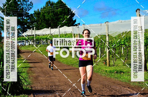 Buy your photos of the eventCIRCUITO DOS VINHEDOS - VINHOS DE ALTITUDE on Fotop