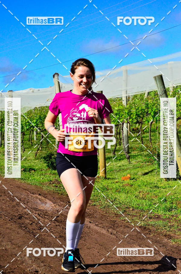 Buy your photos of the eventCIRCUITO DOS VINHEDOS - VINHOS DE ALTITUDE on Fotop