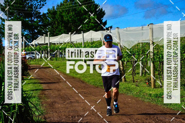 Buy your photos of the eventCIRCUITO DOS VINHEDOS - VINHOS DE ALTITUDE on Fotop