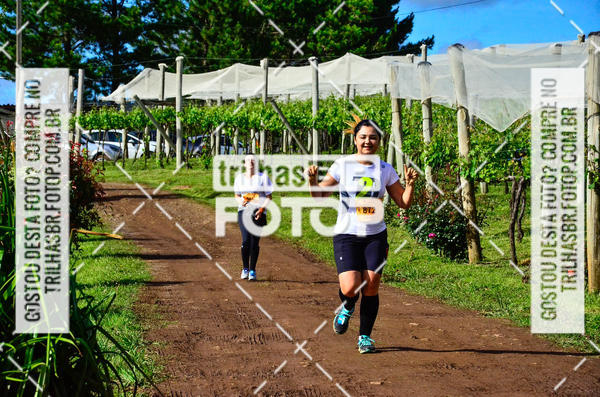 Buy your photos of the eventCIRCUITO DOS VINHEDOS - VINHOS DE ALTITUDE on Fotop