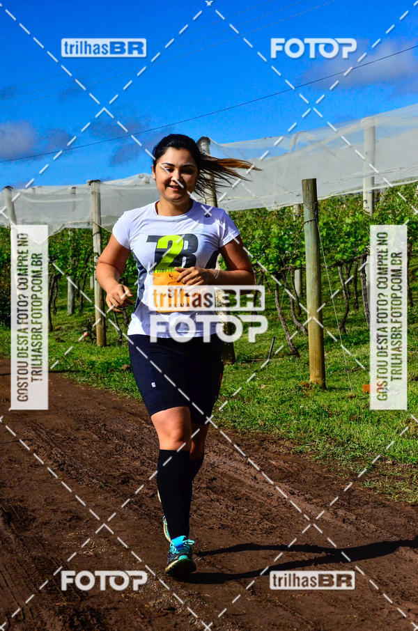Buy your photos of the eventCIRCUITO DOS VINHEDOS - VINHOS DE ALTITUDE on Fotop