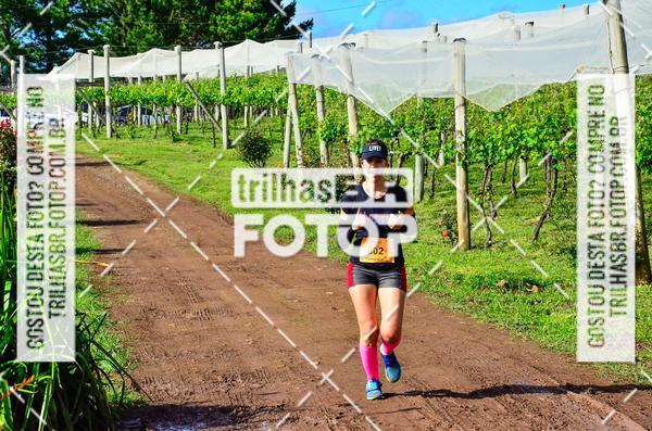 Buy your photos of the eventCIRCUITO DOS VINHEDOS - VINHOS DE ALTITUDE on Fotop