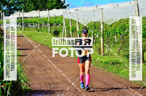 Buy your photos of the eventCIRCUITO DOS VINHEDOS - VINHOS DE ALTITUDE on Fotop