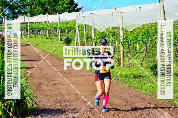 Buy your photos of the eventCIRCUITO DOS VINHEDOS - VINHOS DE ALTITUDE on Fotop