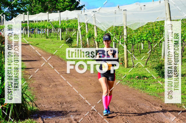 Buy your photos of the eventCIRCUITO DOS VINHEDOS - VINHOS DE ALTITUDE on Fotop
