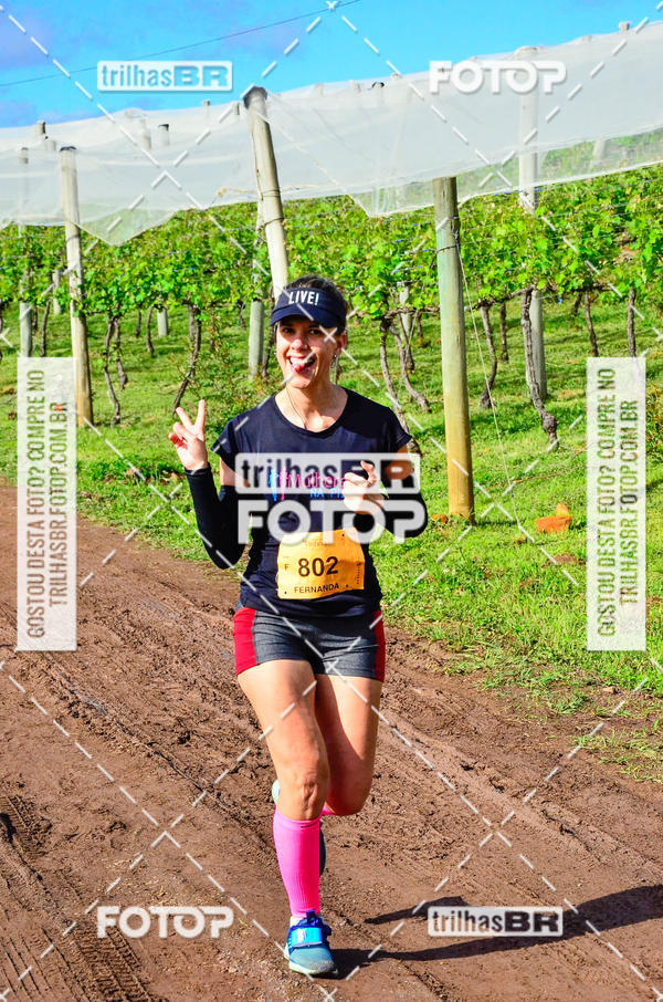 Buy your photos of the eventCIRCUITO DOS VINHEDOS - VINHOS DE ALTITUDE on Fotop