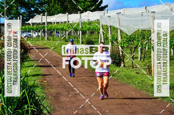 Buy your photos of the eventCIRCUITO DOS VINHEDOS - VINHOS DE ALTITUDE on Fotop
