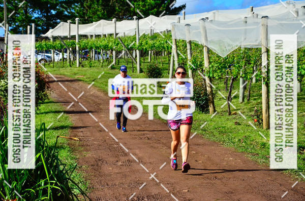 Buy your photos of the eventCIRCUITO DOS VINHEDOS - VINHOS DE ALTITUDE on Fotop