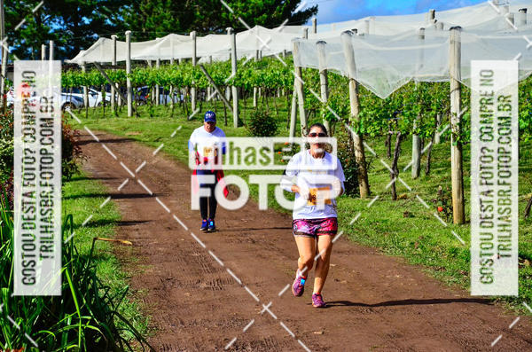 Buy your photos of the eventCIRCUITO DOS VINHEDOS - VINHOS DE ALTITUDE on Fotop