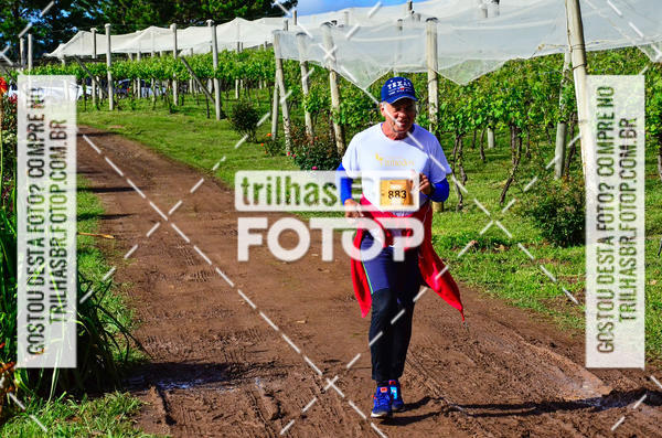 Buy your photos of the eventCIRCUITO DOS VINHEDOS - VINHOS DE ALTITUDE on Fotop