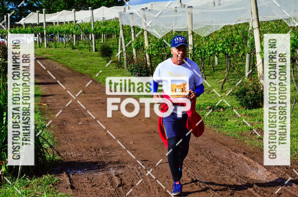 Buy your photos of the eventCIRCUITO DOS VINHEDOS - VINHOS DE ALTITUDE on Fotop
