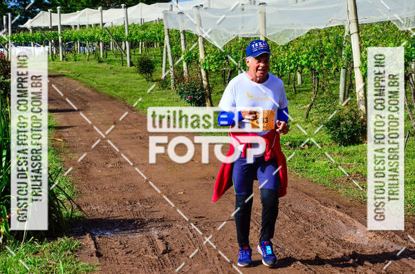 Buy your photos of the eventCIRCUITO DOS VINHEDOS - VINHOS DE ALTITUDE on Fotop