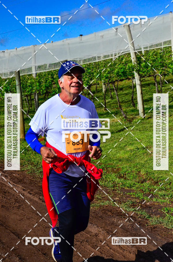 Buy your photos of the eventCIRCUITO DOS VINHEDOS - VINHOS DE ALTITUDE on Fotop