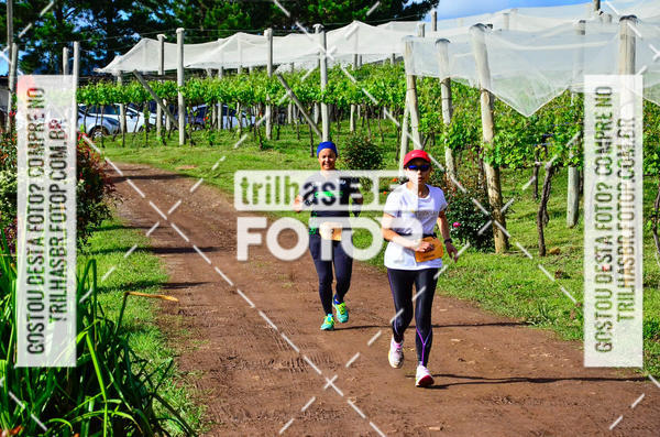 Buy your photos of the eventCIRCUITO DOS VINHEDOS - VINHOS DE ALTITUDE on Fotop