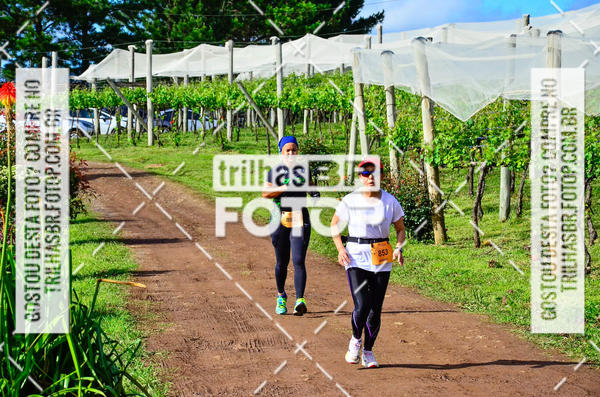 Buy your photos of the eventCIRCUITO DOS VINHEDOS - VINHOS DE ALTITUDE on Fotop