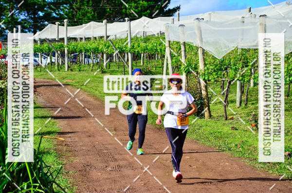 Buy your photos of the eventCIRCUITO DOS VINHEDOS - VINHOS DE ALTITUDE on Fotop