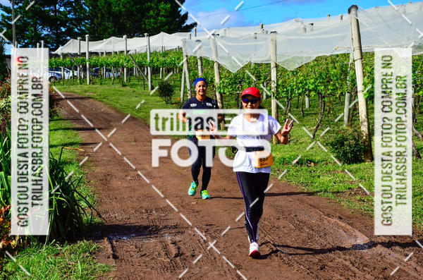Buy your photos of the eventCIRCUITO DOS VINHEDOS - VINHOS DE ALTITUDE on Fotop