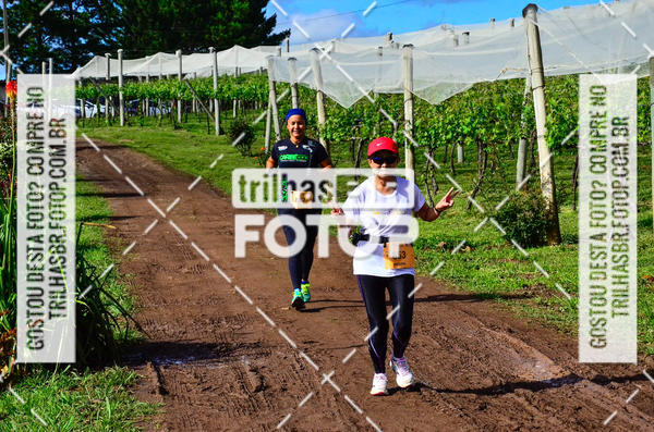 Buy your photos of the eventCIRCUITO DOS VINHEDOS - VINHOS DE ALTITUDE on Fotop