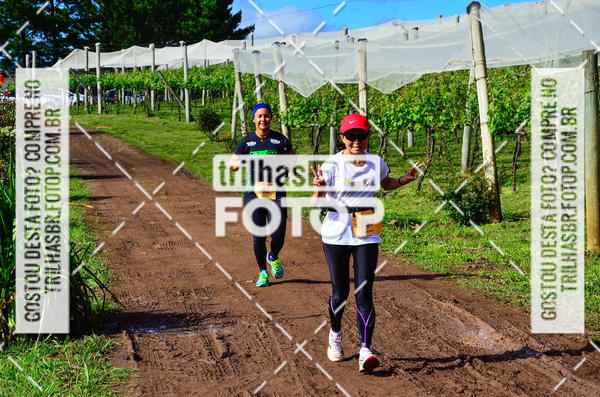 Buy your photos of the eventCIRCUITO DOS VINHEDOS - VINHOS DE ALTITUDE on Fotop