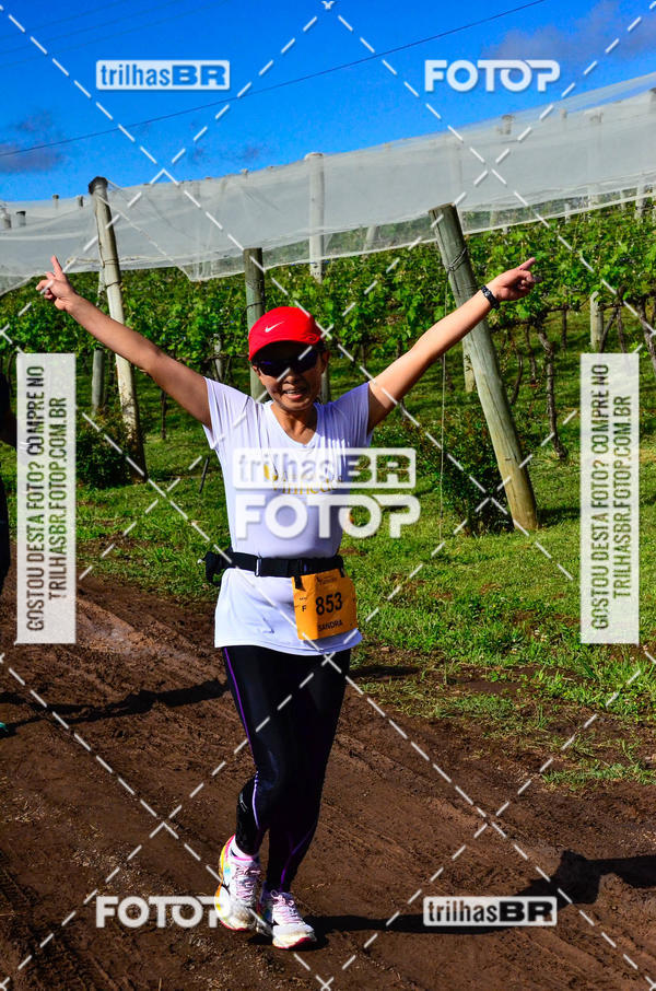 Buy your photos of the eventCIRCUITO DOS VINHEDOS - VINHOS DE ALTITUDE on Fotop