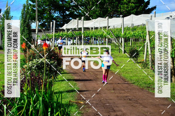 Buy your photos of the eventCIRCUITO DOS VINHEDOS - VINHOS DE ALTITUDE on Fotop